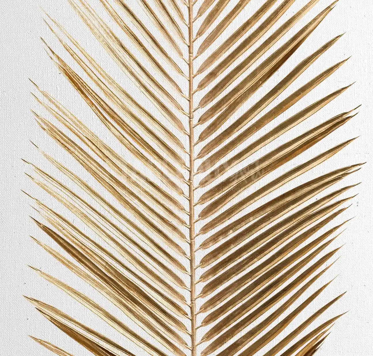 Palmier : tableau décorative
