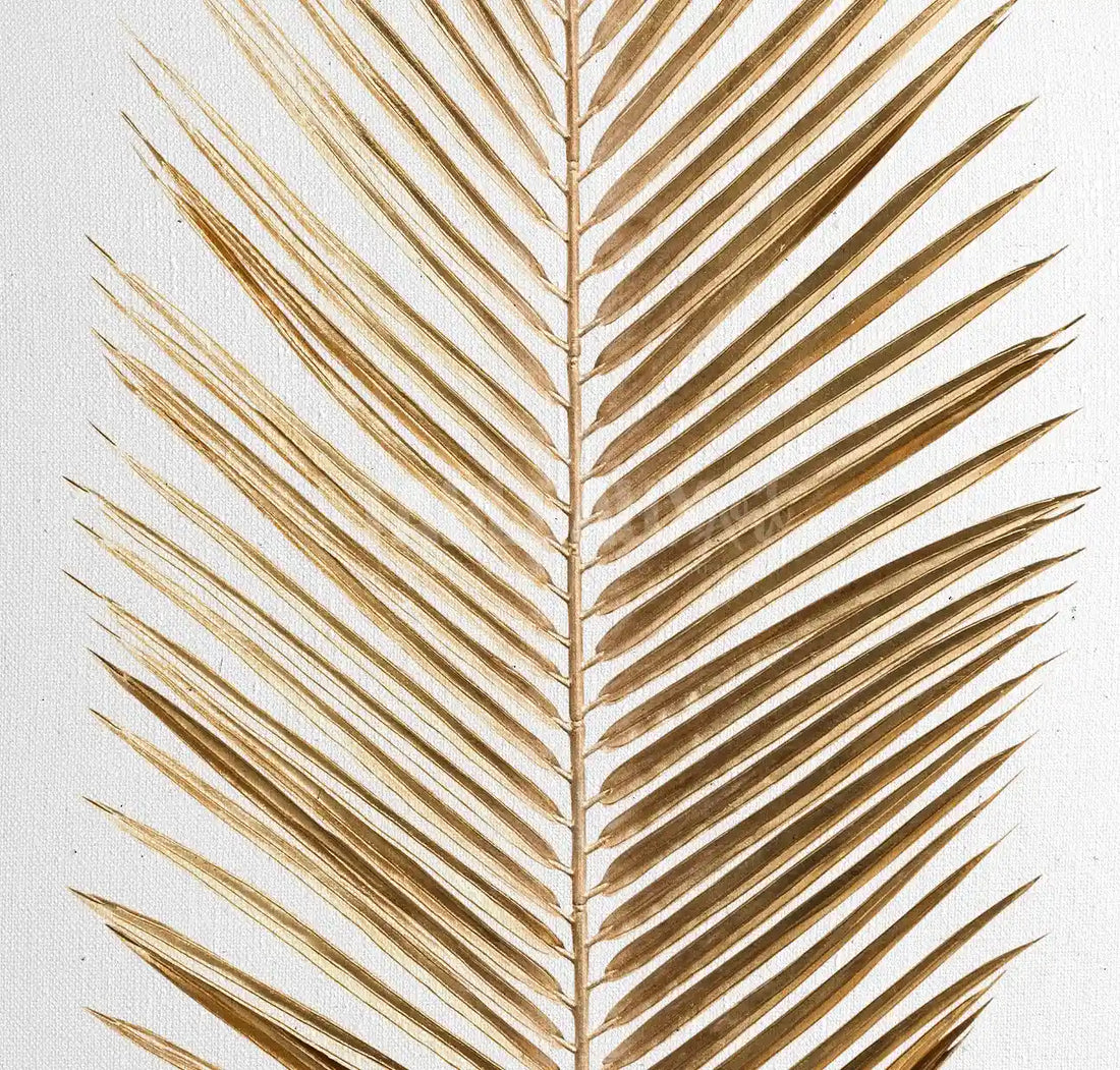 Palmier : tableau décorative