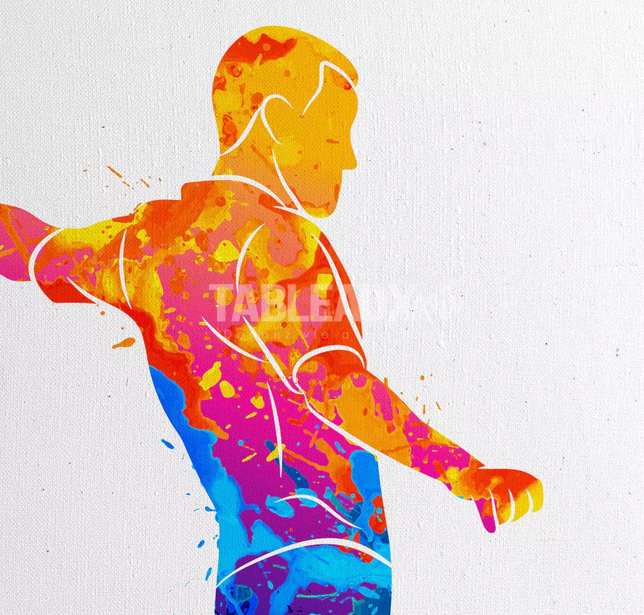 Passion Football - Tableaux Art